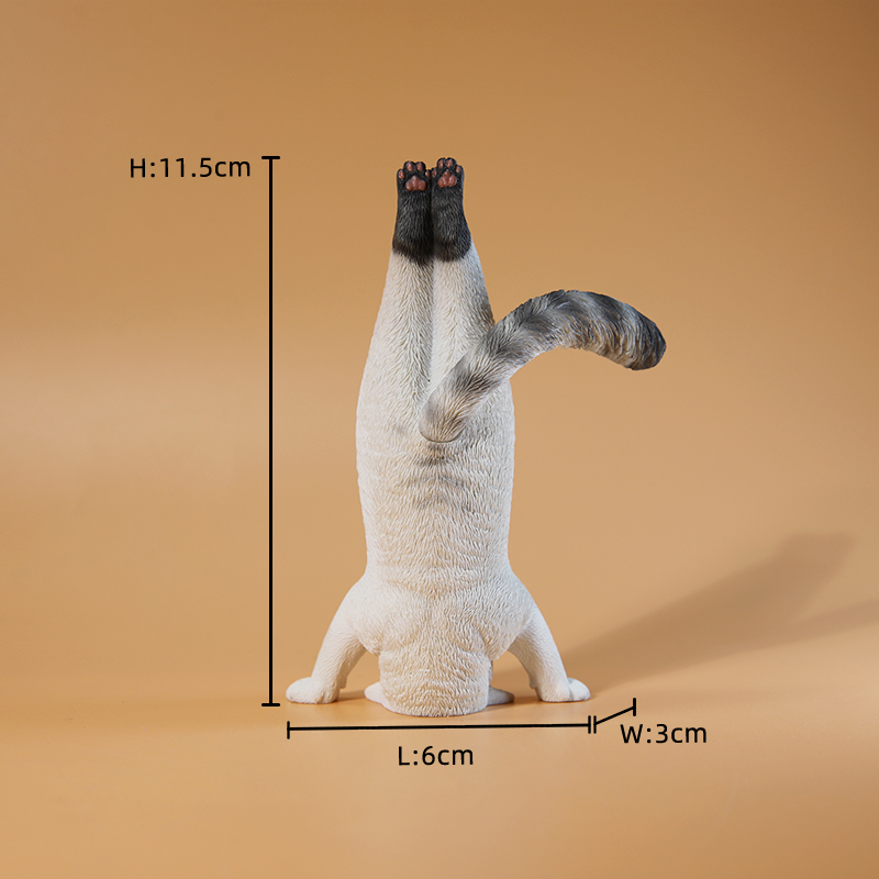 1/6 Scale Mini Simulated Fitne - đánh giá và giá Yoga In Fitness First